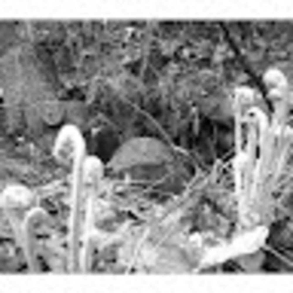 Meet your Posher, Matt